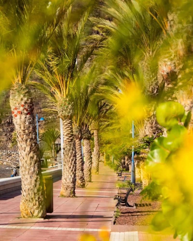 El Balcon De Colon Apartment San Sebastián de la Gomera Екстериор снимка